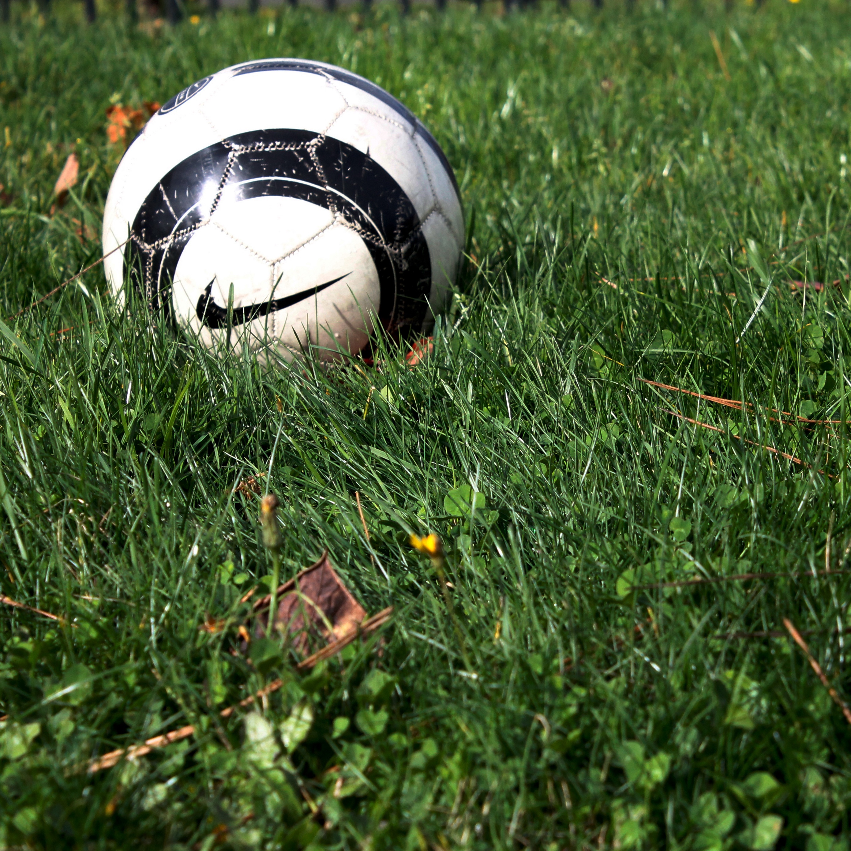 Wallpaper Soccer Ball, Nike, Grass - Soccer Ball Grass - HD Wallpaper 
