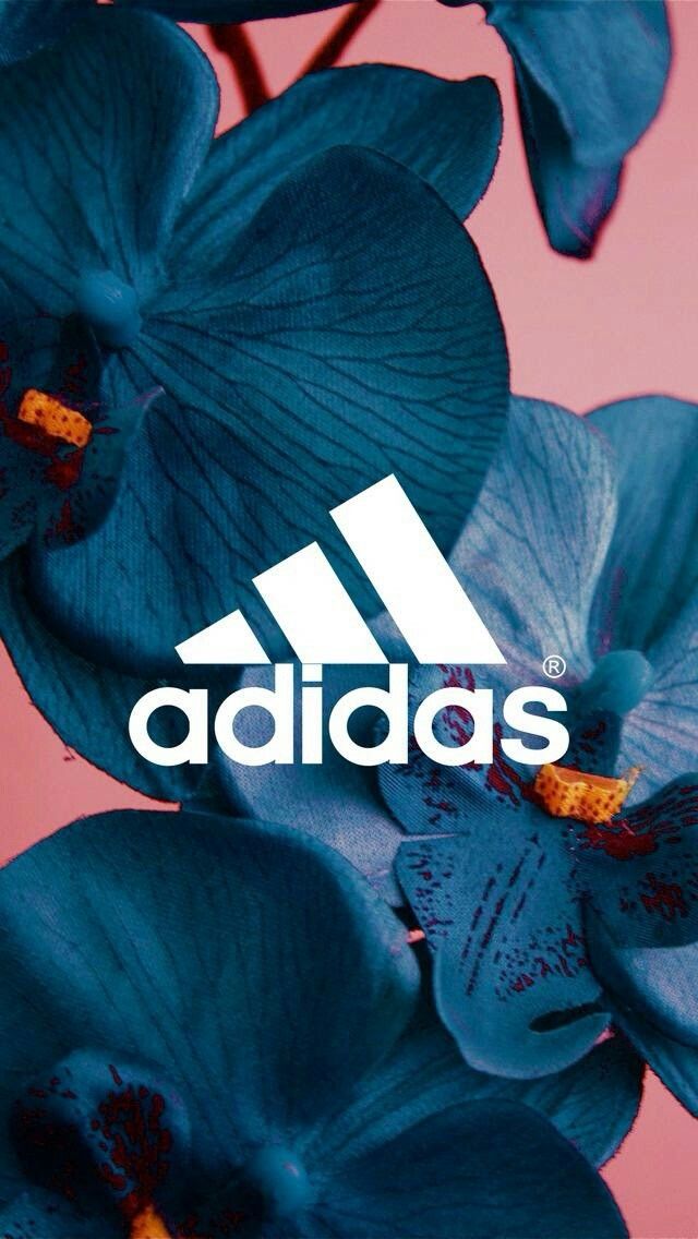 Adidas Logo - HD Wallpaper 