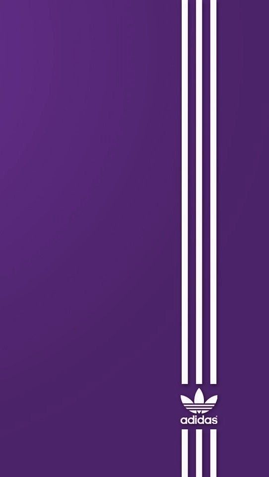 Lavender - HD Wallpaper 
