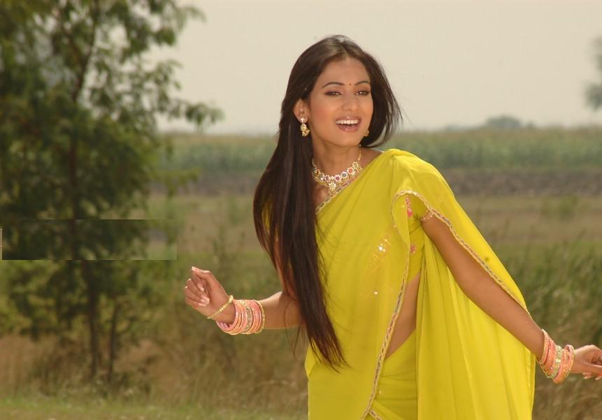 Sonal Chauhan Hot In Saree - HD Wallpaper 