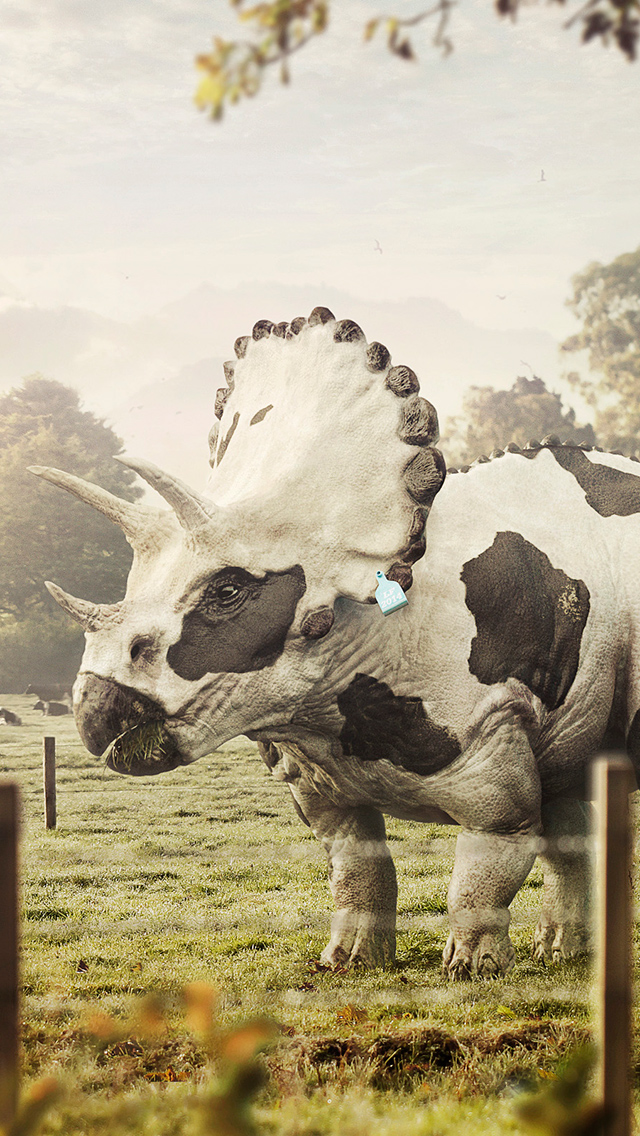 Wtf Iphone - HD Wallpaper 