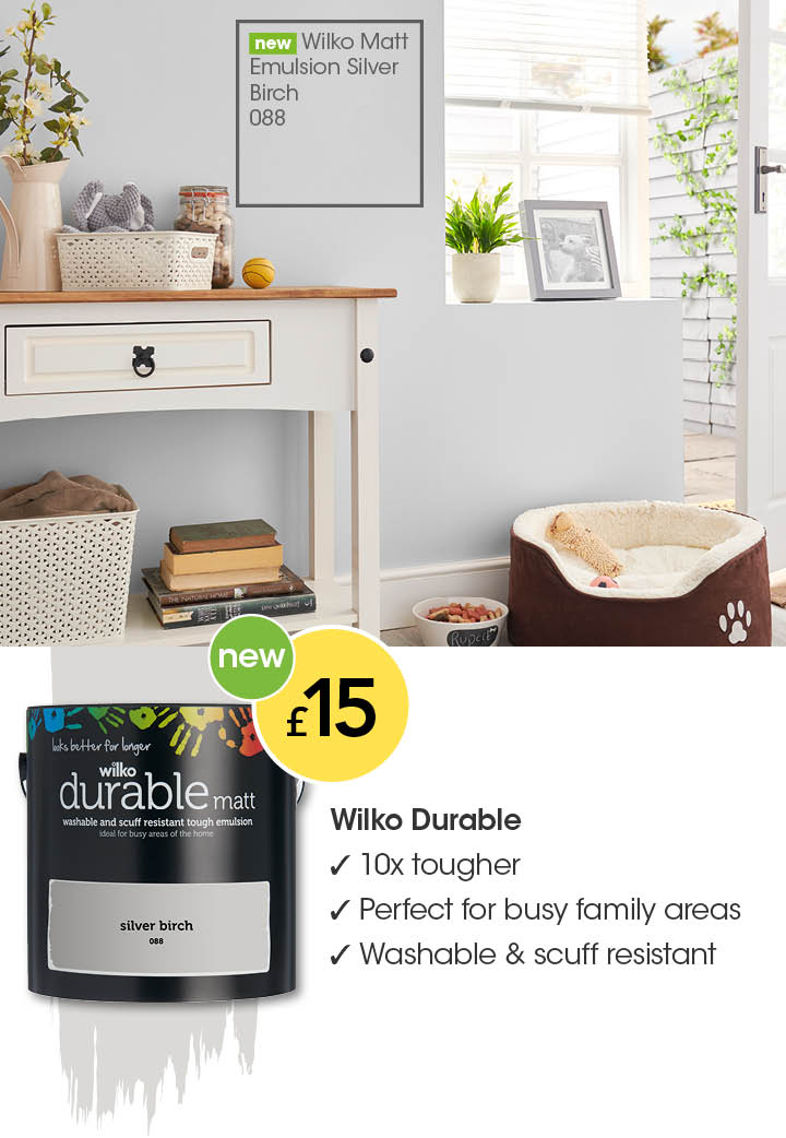 Wilko Matt Paint Silver Birch Wilko Silver Birch Paint 720x1042