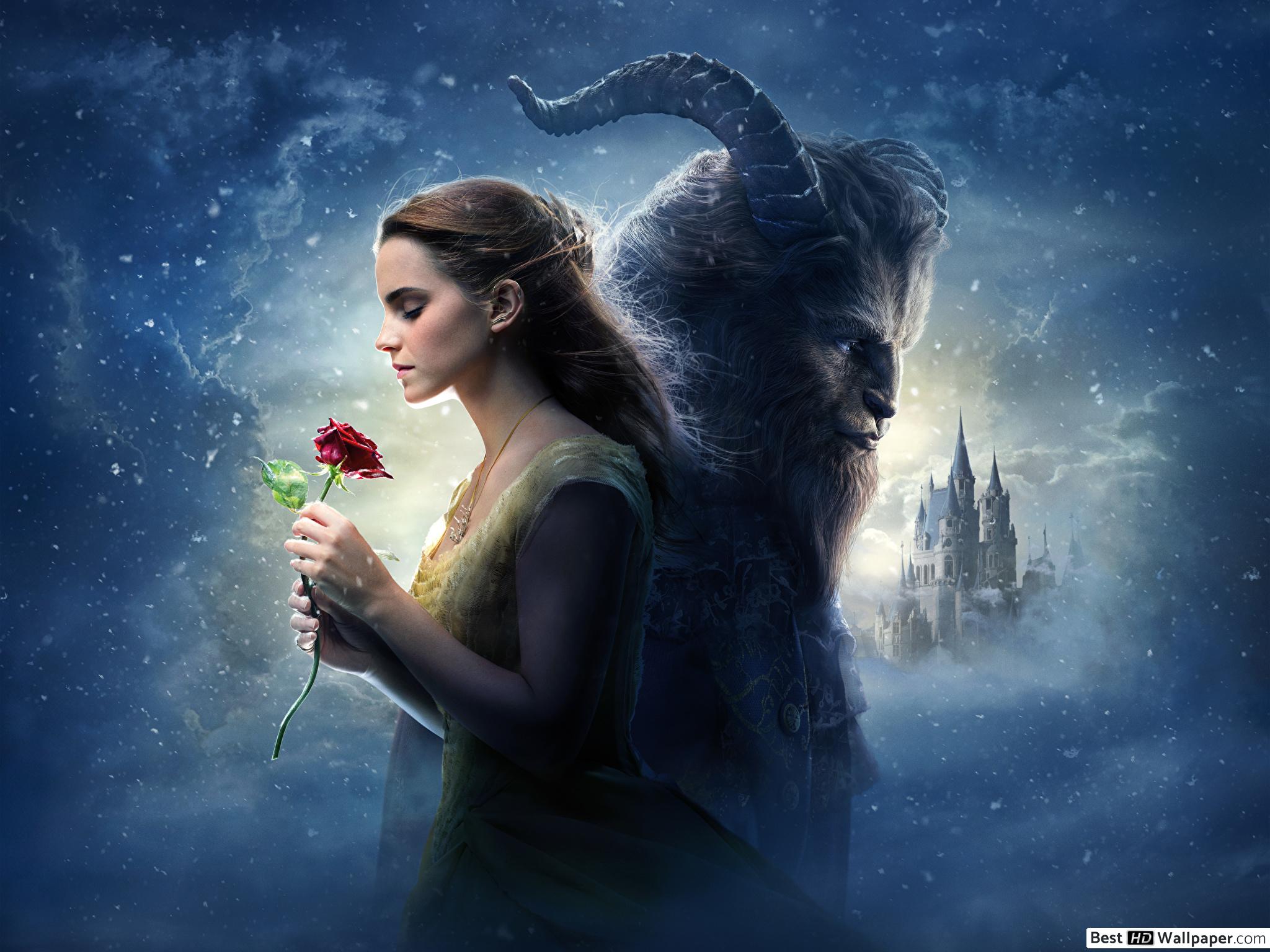Beauty And The Beast Poster Textless - HD Wallpaper 