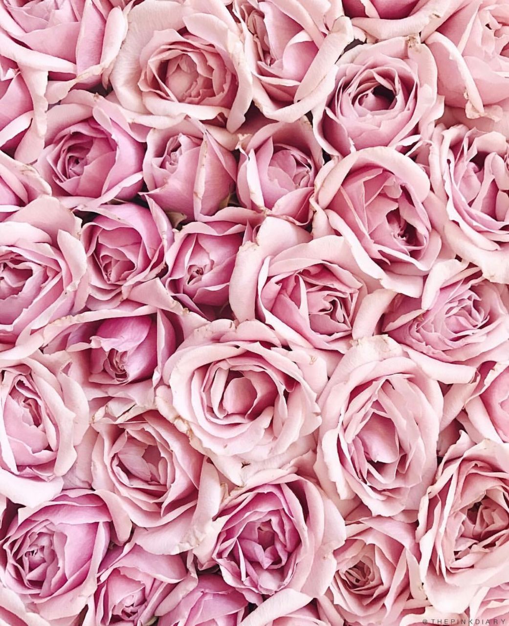 Parfum De Marly Delina Exclusif - HD Wallpaper 