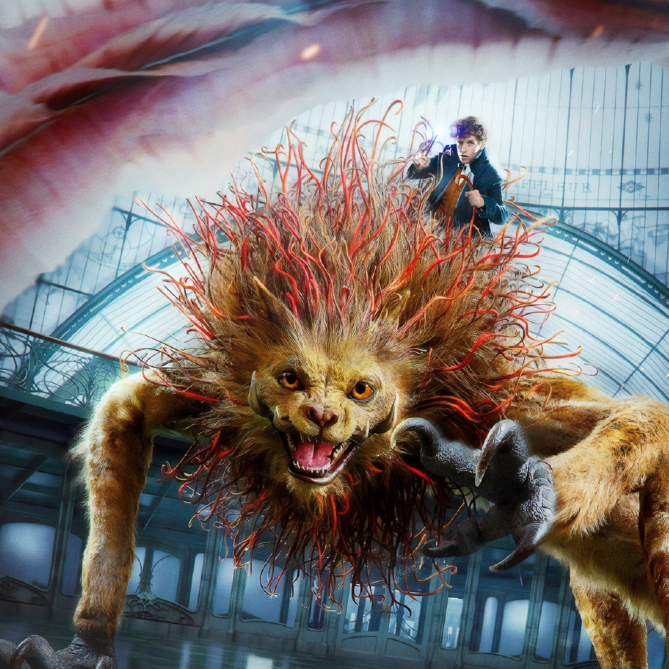 Eddie Redmayne, Creature, Fantastic Beasts - Fantastic Beasts Wallpaper Hd - HD Wallpaper 
