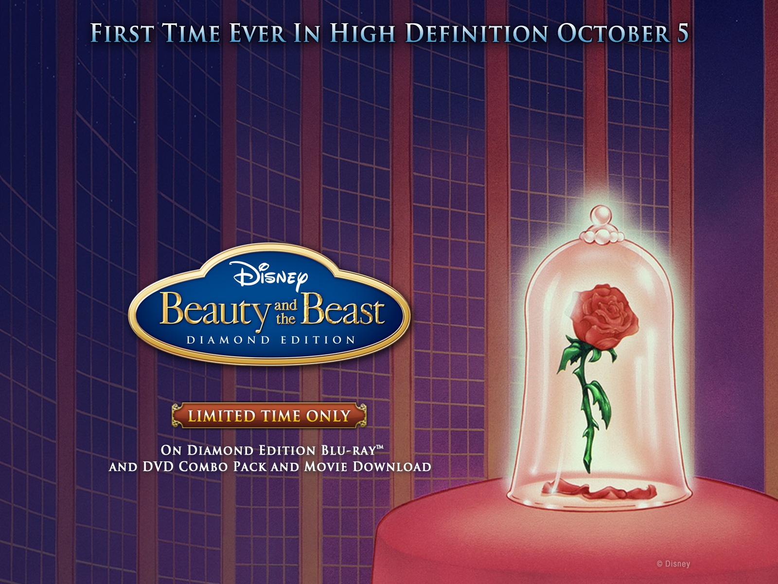 Beauty And The Beast 背景 - HD Wallpaper 