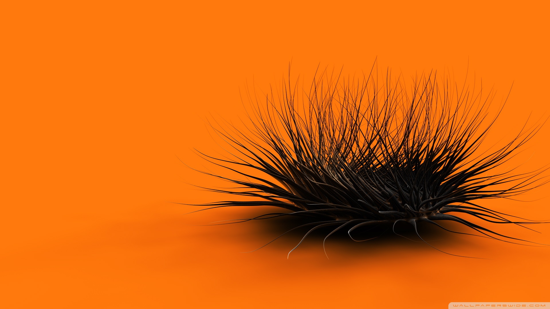 Orange Wallpaper Hd 4k - HD Wallpaper 