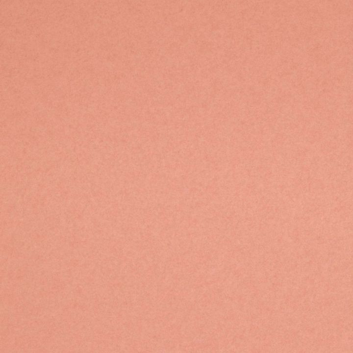 Ivory - HD Wallpaper 