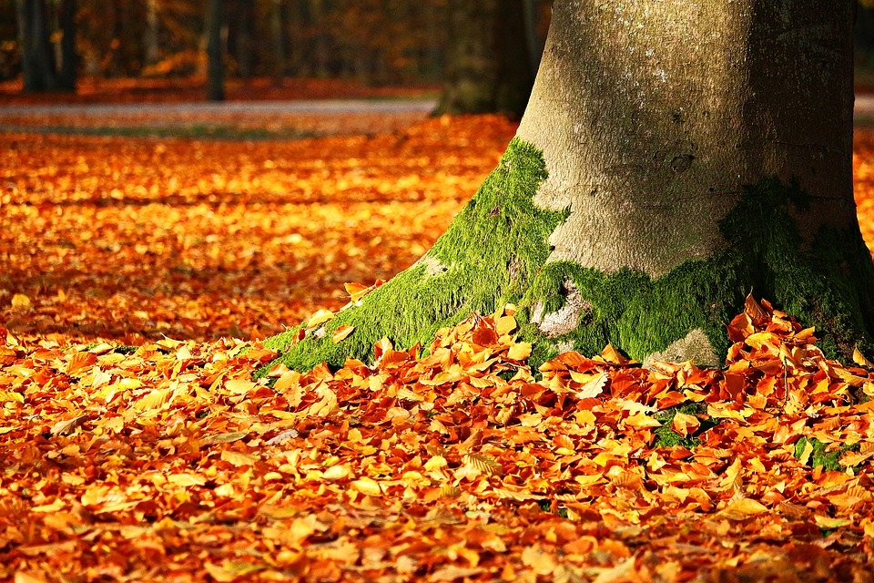Best Photos Of Autumn In World - HD Wallpaper 