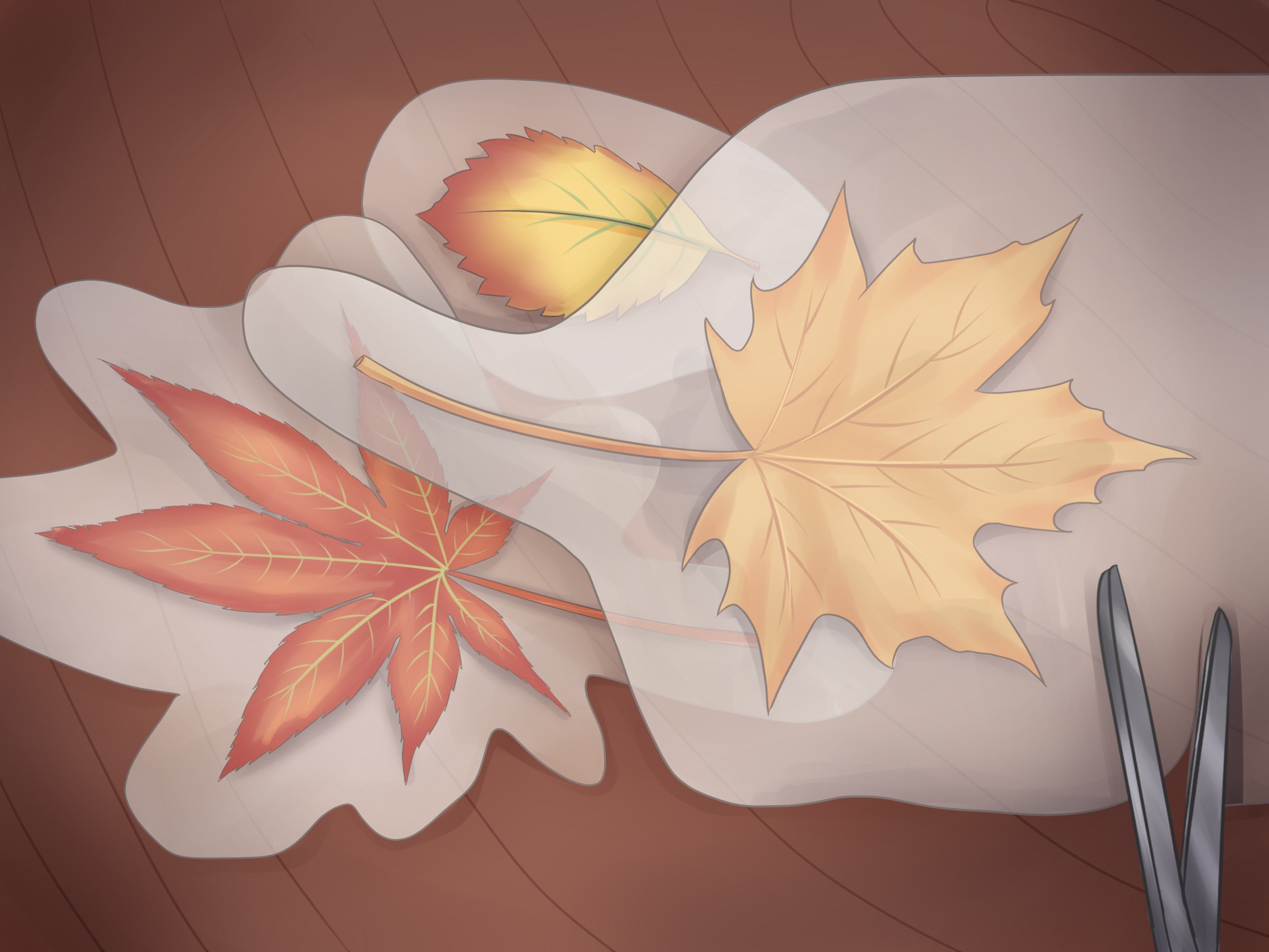 Image Titled Preserve Fall Leaves Step - Preserve A Leaf - HD Wallpaper 