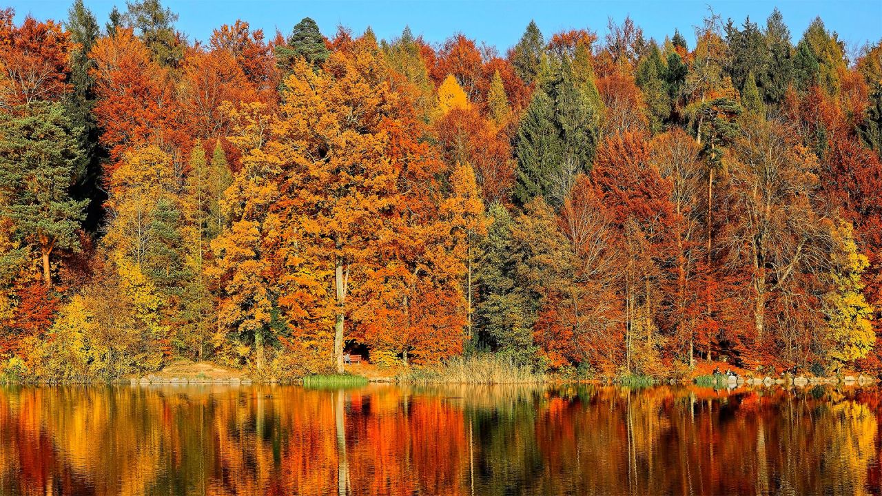 Fall Colors - HD Wallpaper 