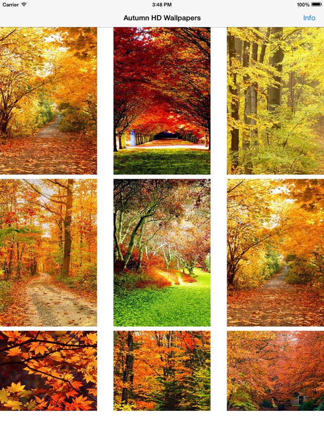 Mobile App - HD Wallpaper 