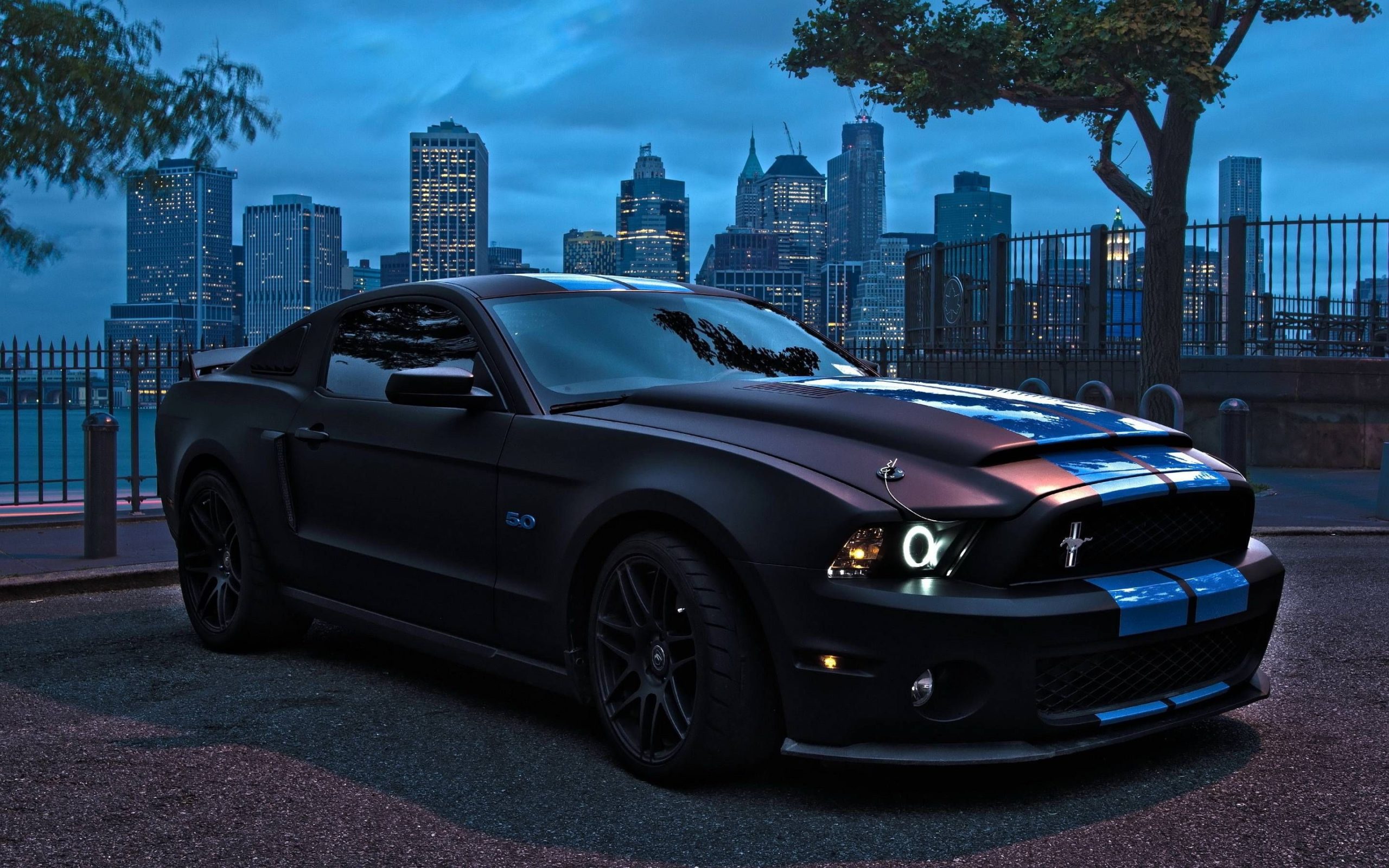 Mustang Shelby Gt500 Black - HD Wallpaper 