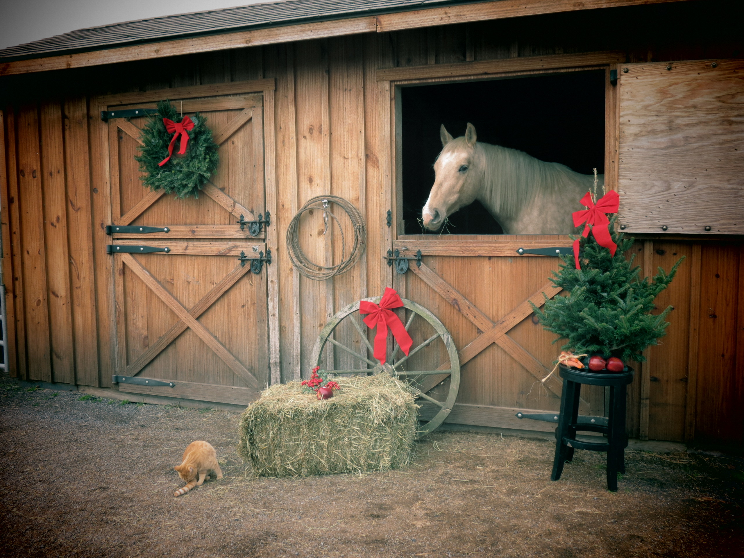 Country Weihnachten - Merry Christmas Horse Barn - HD Wallpaper 