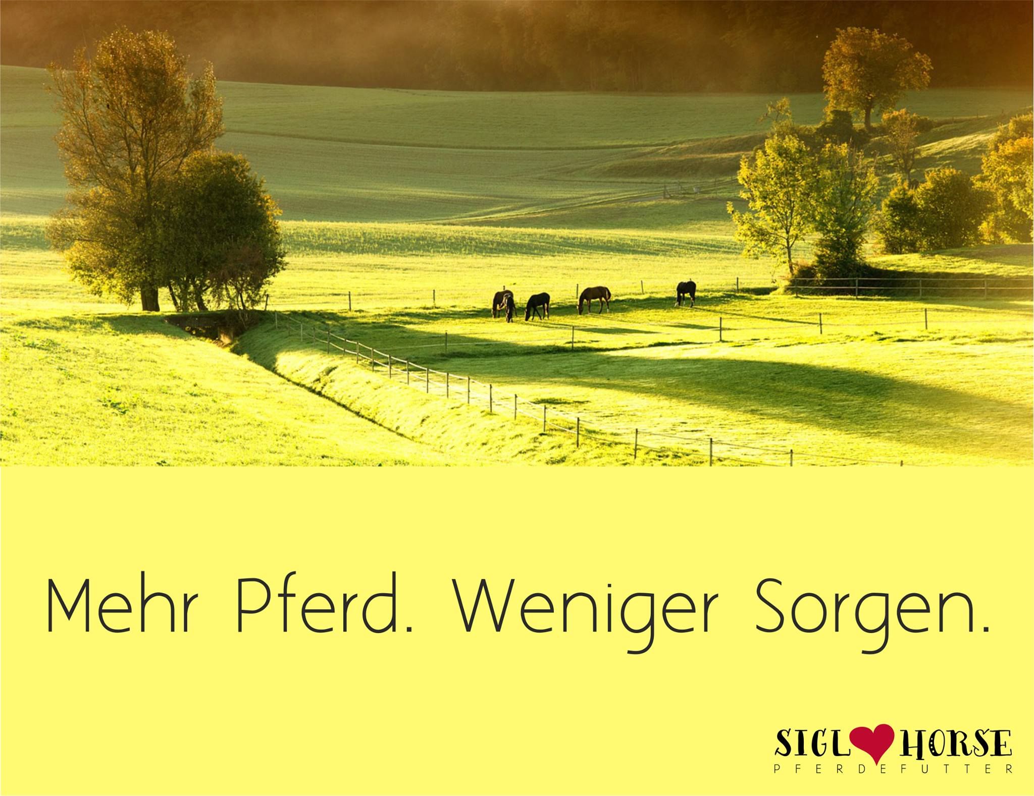 Corporate Newsletter Templates - HD Wallpaper 