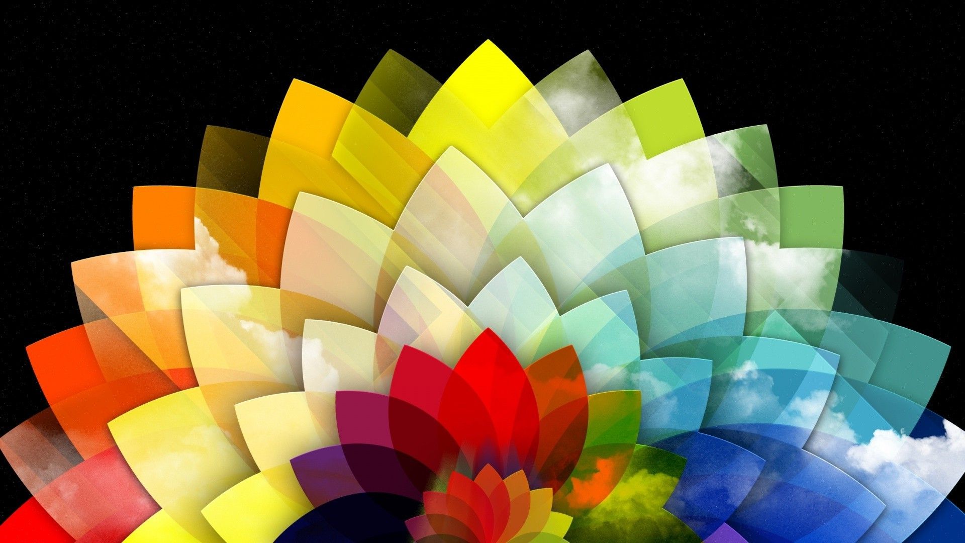 Background Colorful Petal Flower - HD Wallpaper 