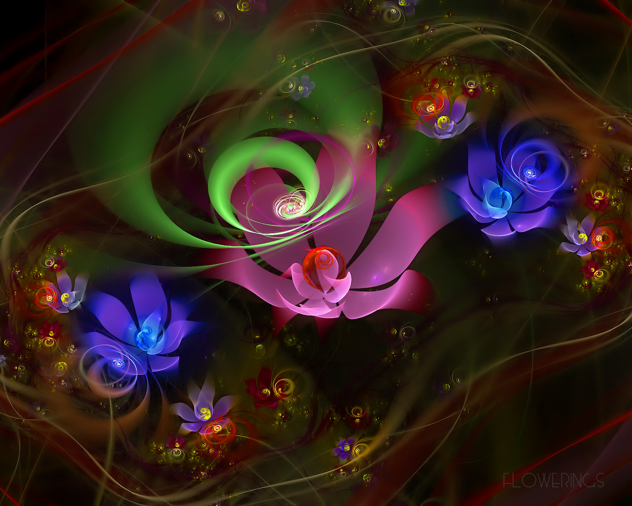 Colourful Flowers - HD Wallpaper 