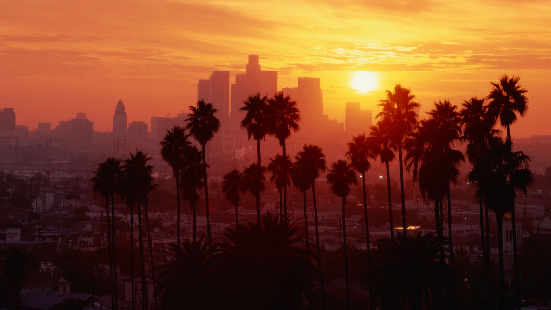 City, Sunset, Palms, Nice - Los Angeles - HD Wallpaper 