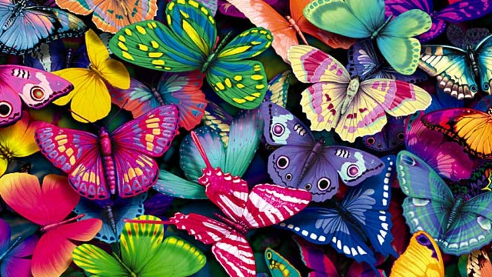 Free Best Colorful Images - Butterfly Hd Wallpaper For Laptop - 1600x900  Wallpaper 