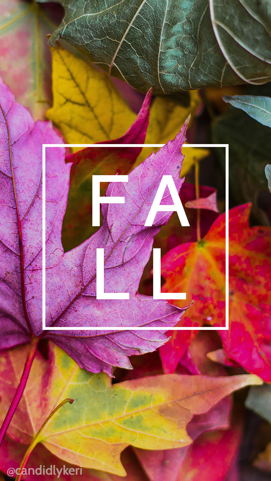Fall Leaf Leaves Colorful Nature You Can Download 
 - Pink Purple Fall Desktop - HD Wallpaper 