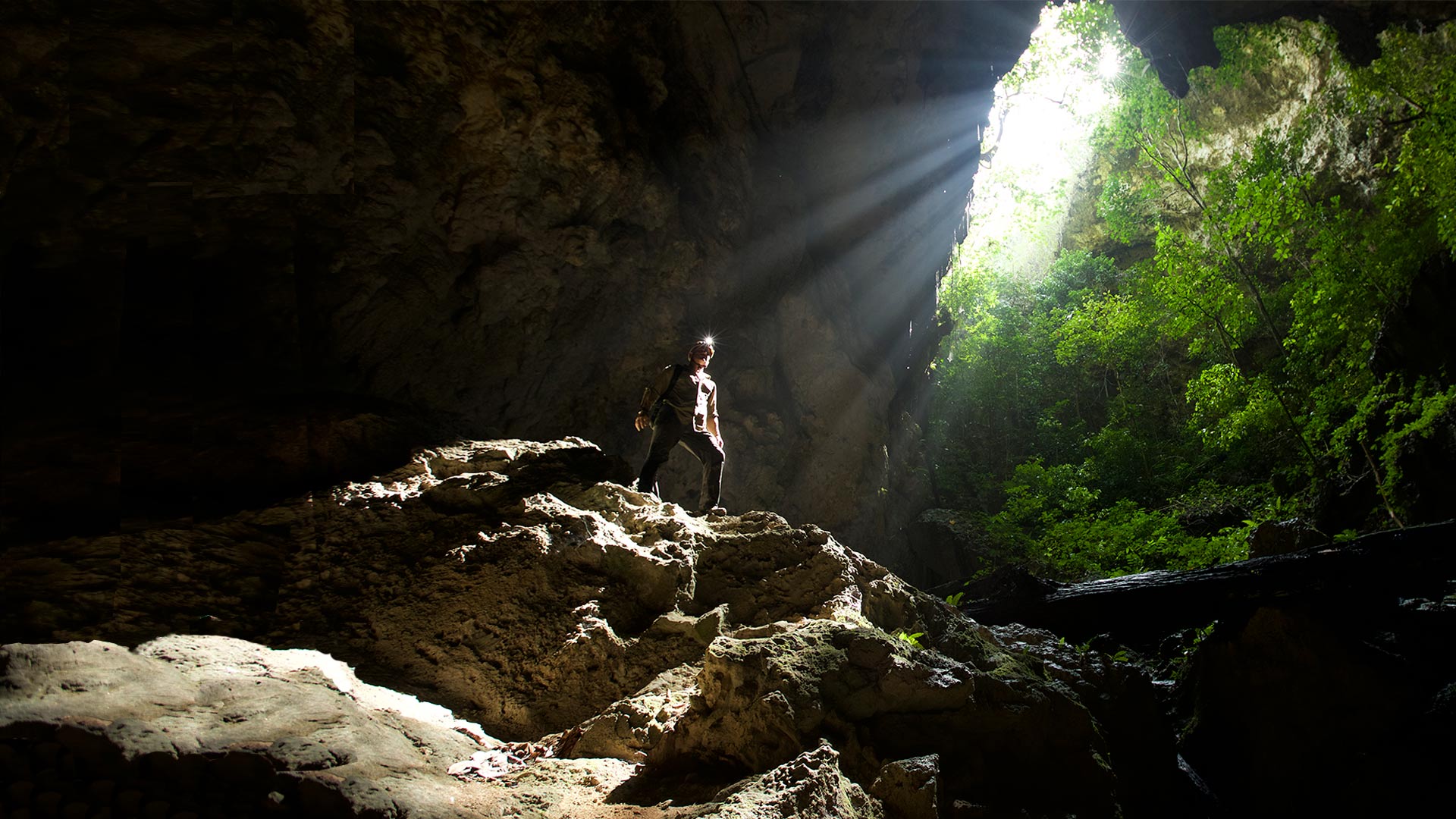 Expedition Borneo - HD Wallpaper 