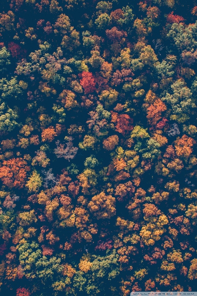 Ahxello Promise - HD Wallpaper 