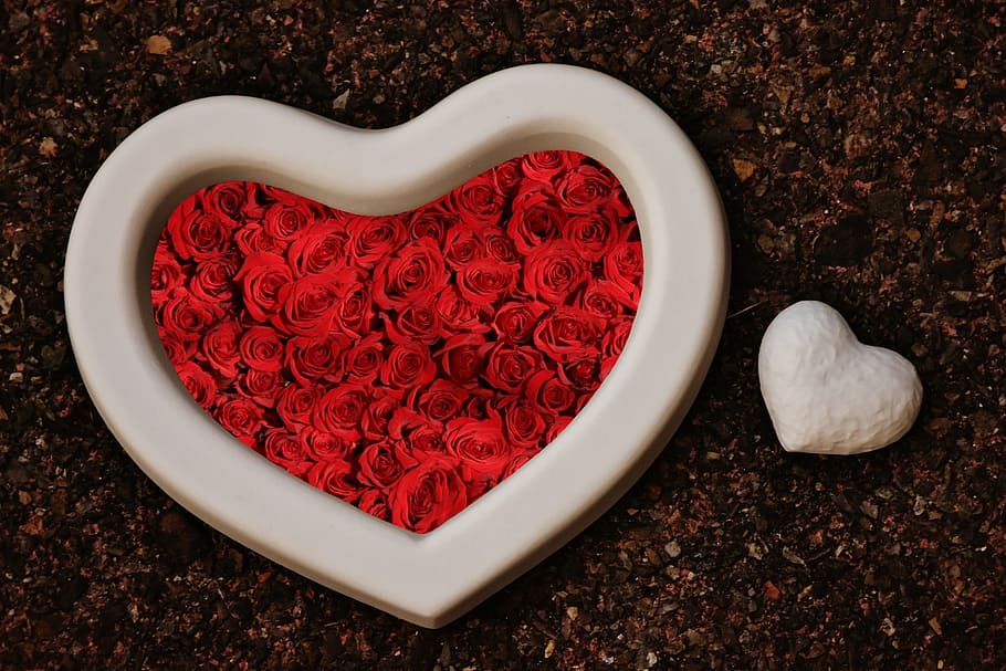 Heart, Gypsum, Blanks, Unpainted, White, Love, Valentine - HD Wallpaper 