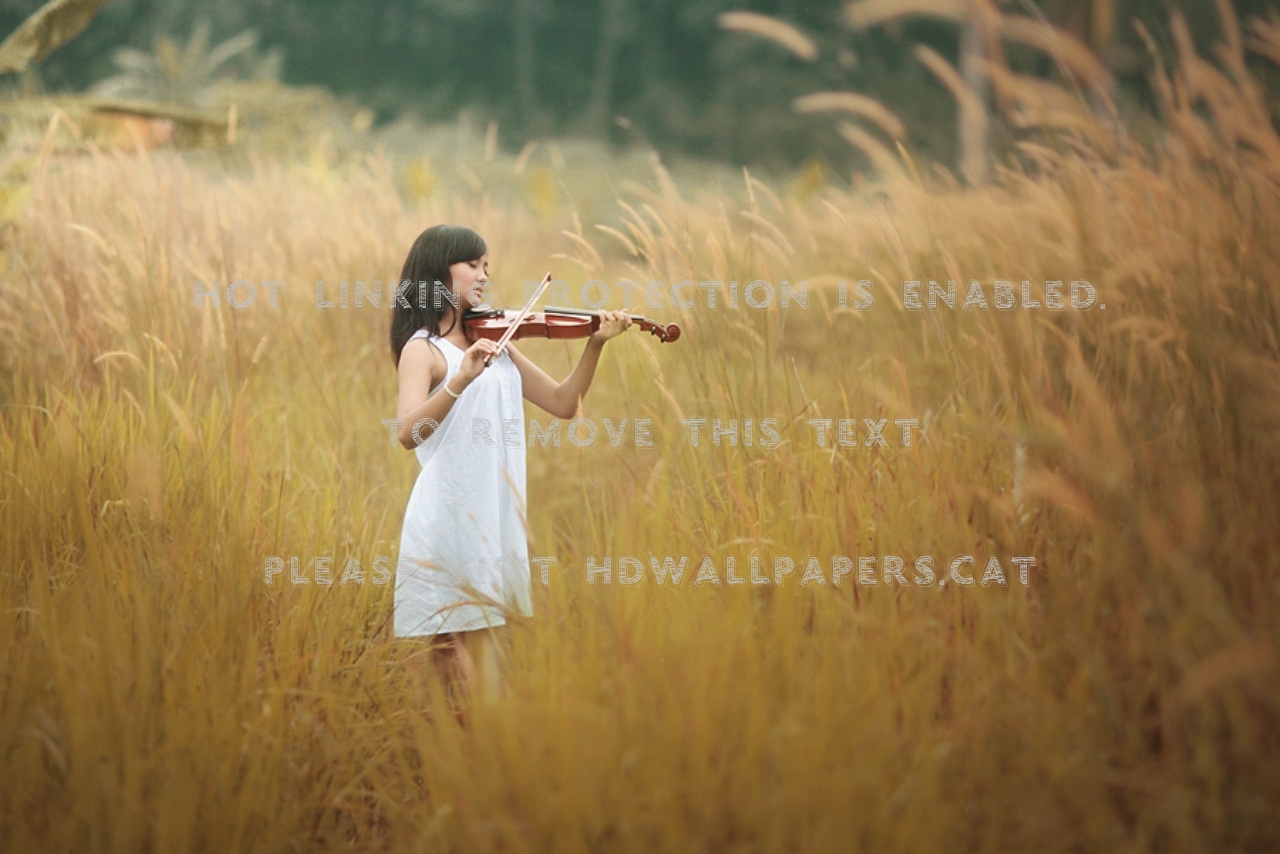 Play My Love Song Girl Nature Grass Violin - Western Concert Flute - HD Wallpaper 