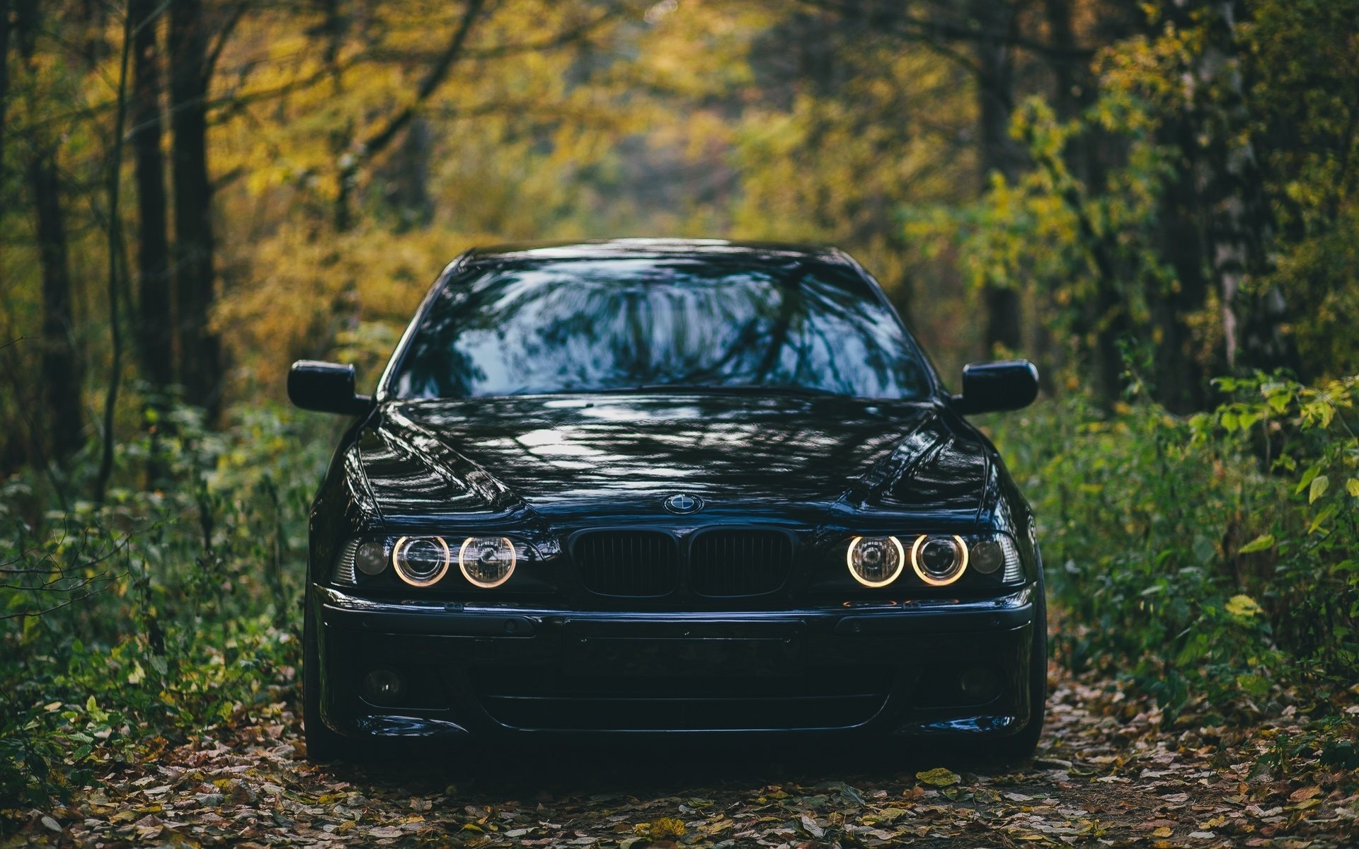 Bmw M5, E39, Forest, Offroad, Black M5, Bmw - Bmw M5 E39 Обои - HD Wallpaper 