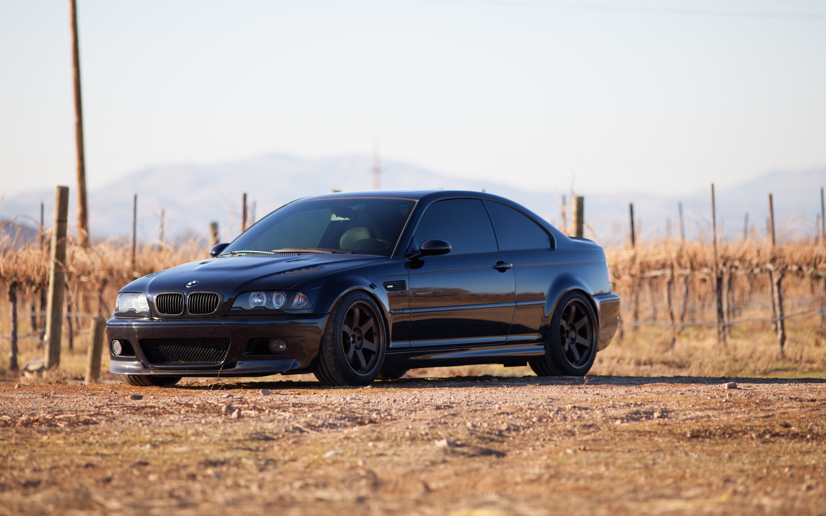 Bmw E46 M3 Wallpaper Hd - HD Wallpaper 