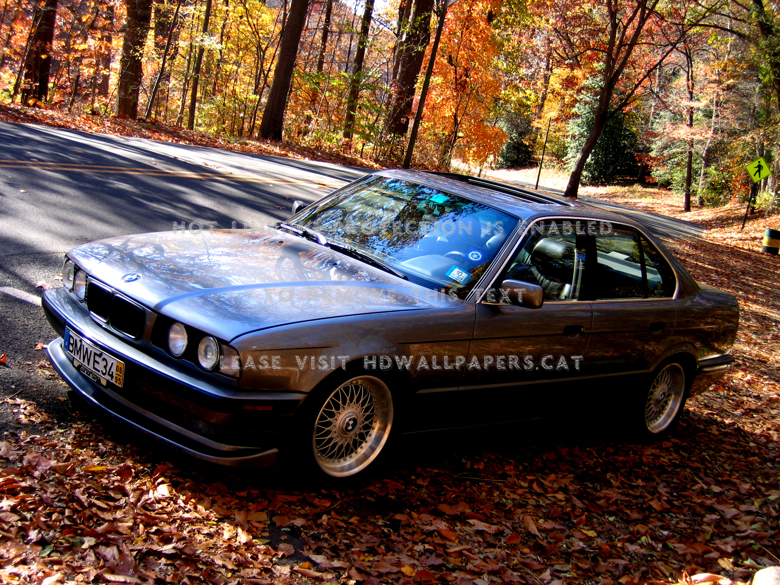 Bmw E34 Fall Trees Parked Autumn Cars - Bmw - HD Wallpaper 