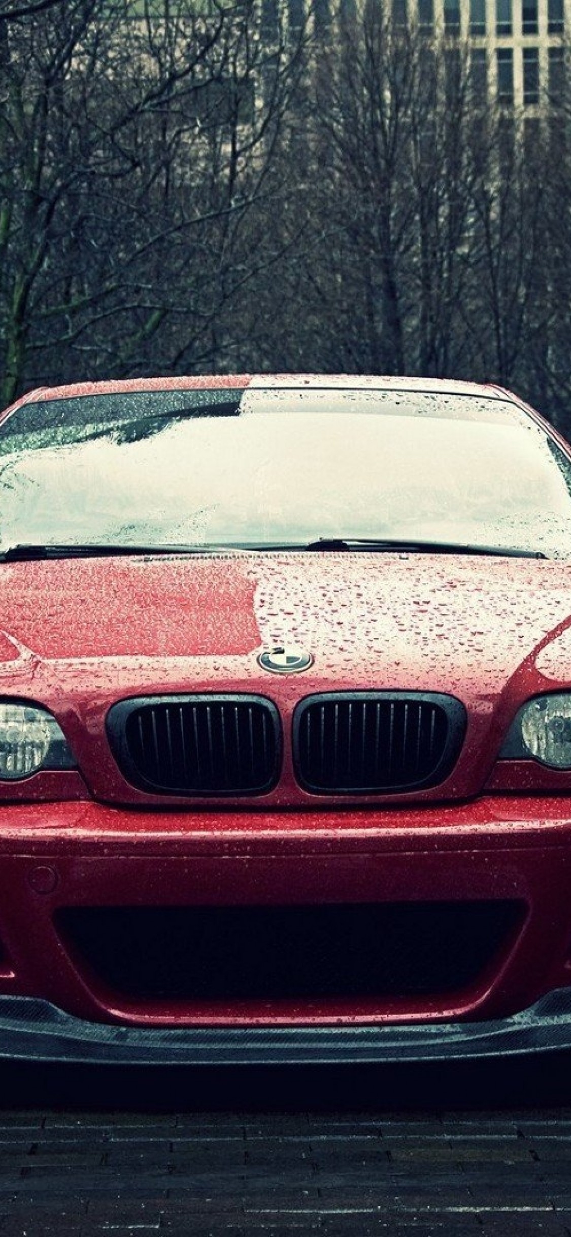 Bmw M3 E46, Red, Front View, Cars, Raining - HD Wallpaper 