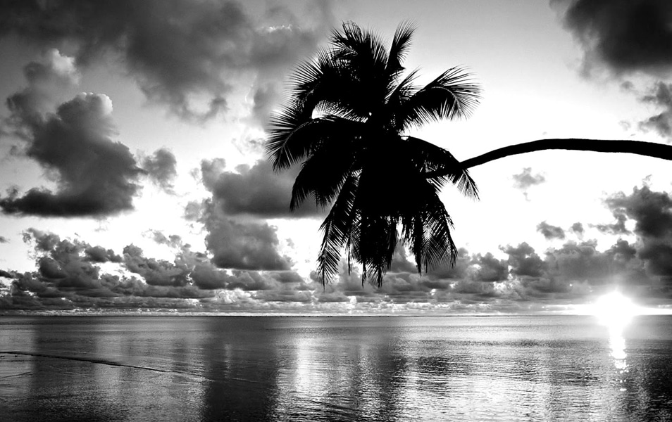 Pretty Black And White Wallpaper - HD Wallpaper 