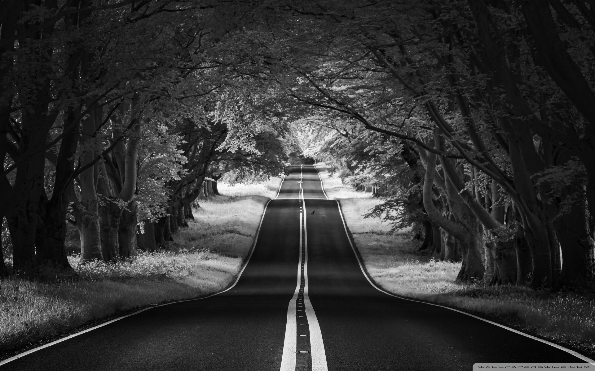 Aesthetic Black And White - HD Wallpaper 