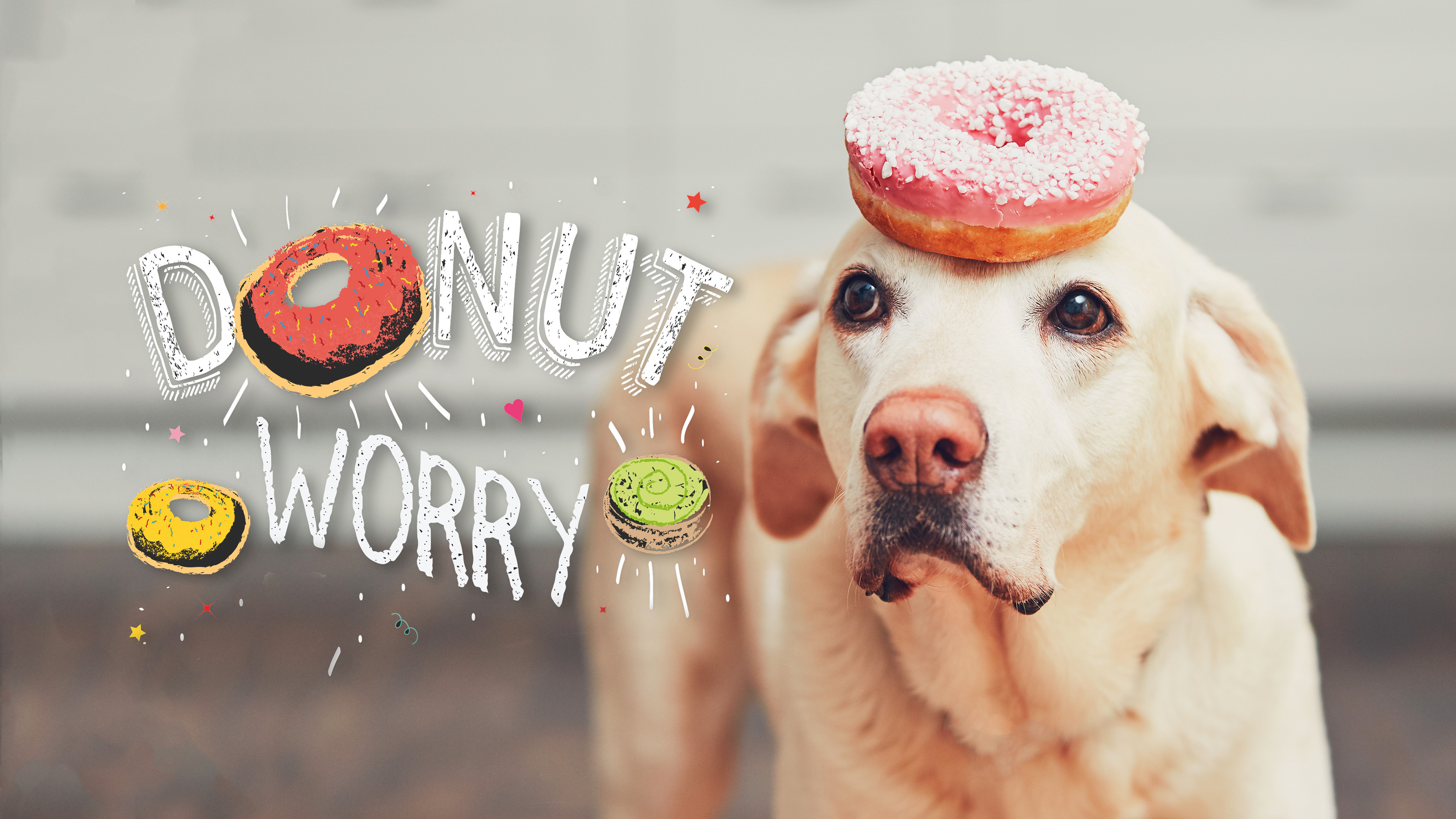 Donut Worry Desktop Background Size 3840 X 2160 Donut - Dog Wallpaper For Chromebook - HD Wallpaper 
