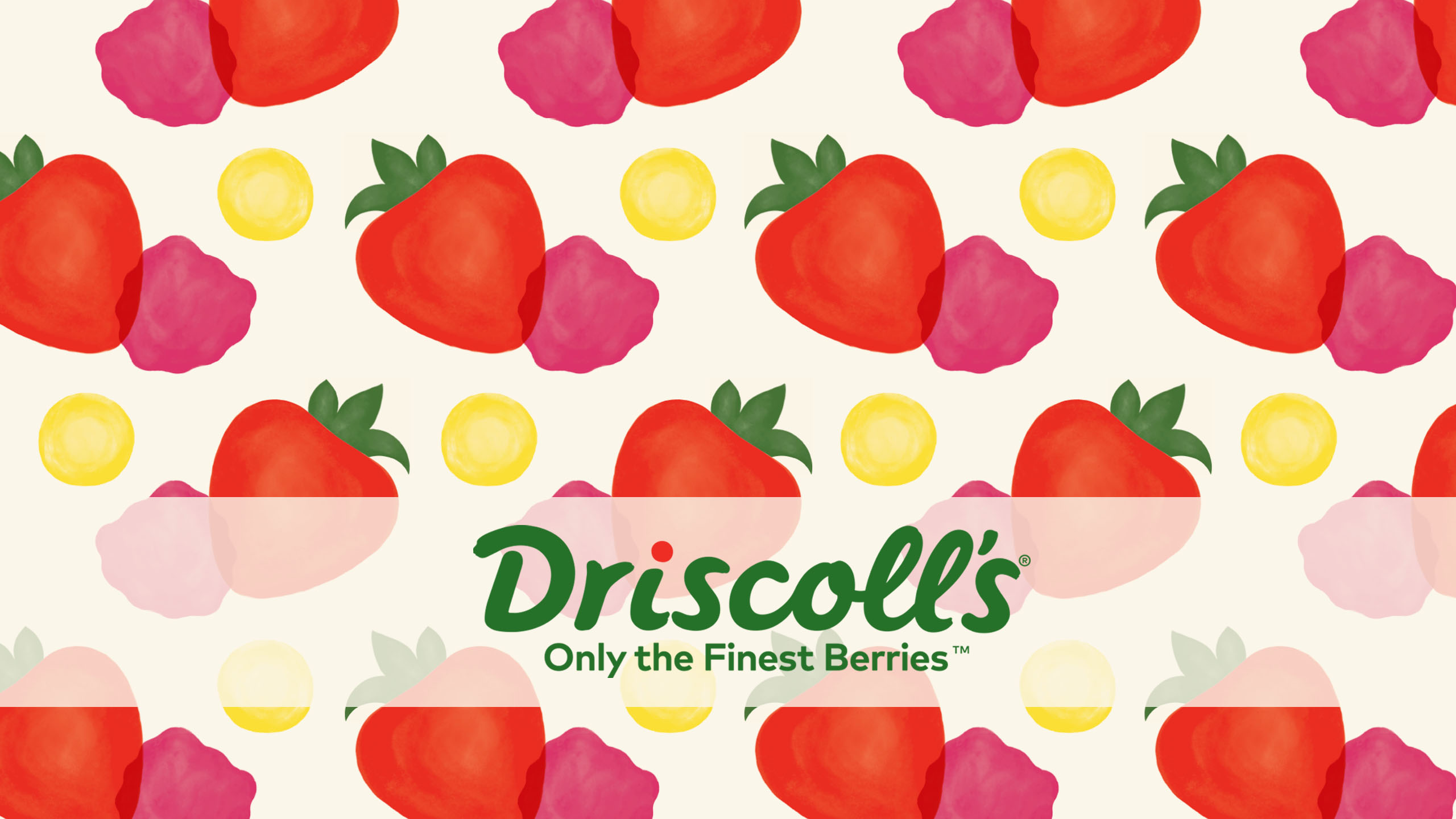 Driscolls Logo 2560x1440 Wallpaper teahub.io