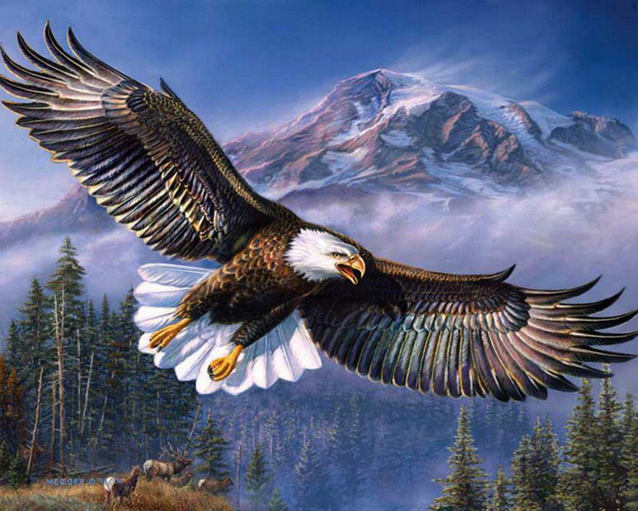 Eagle Wallpaper Hd 1080p - 1280x1024 Wallpaper 