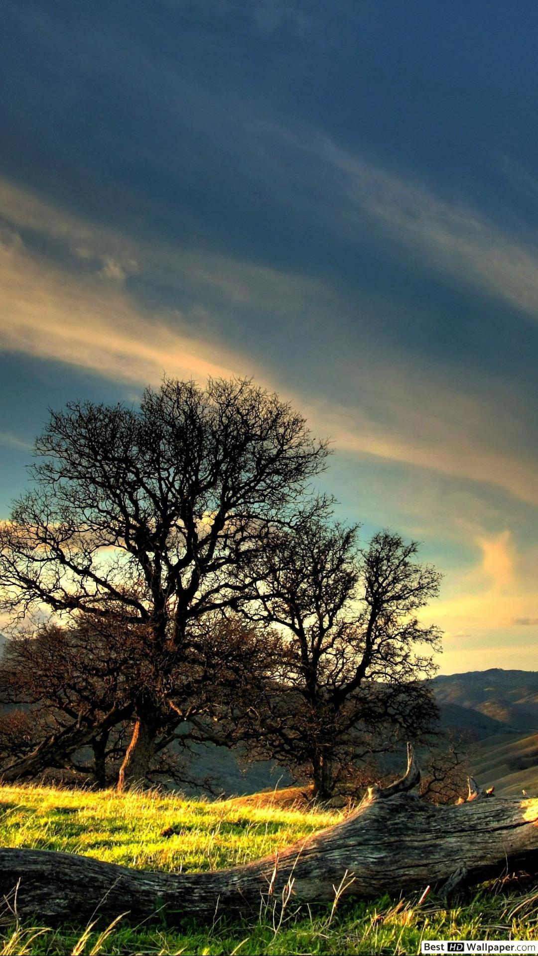 Hd Wallpapers In Natural Log - HD Wallpaper 