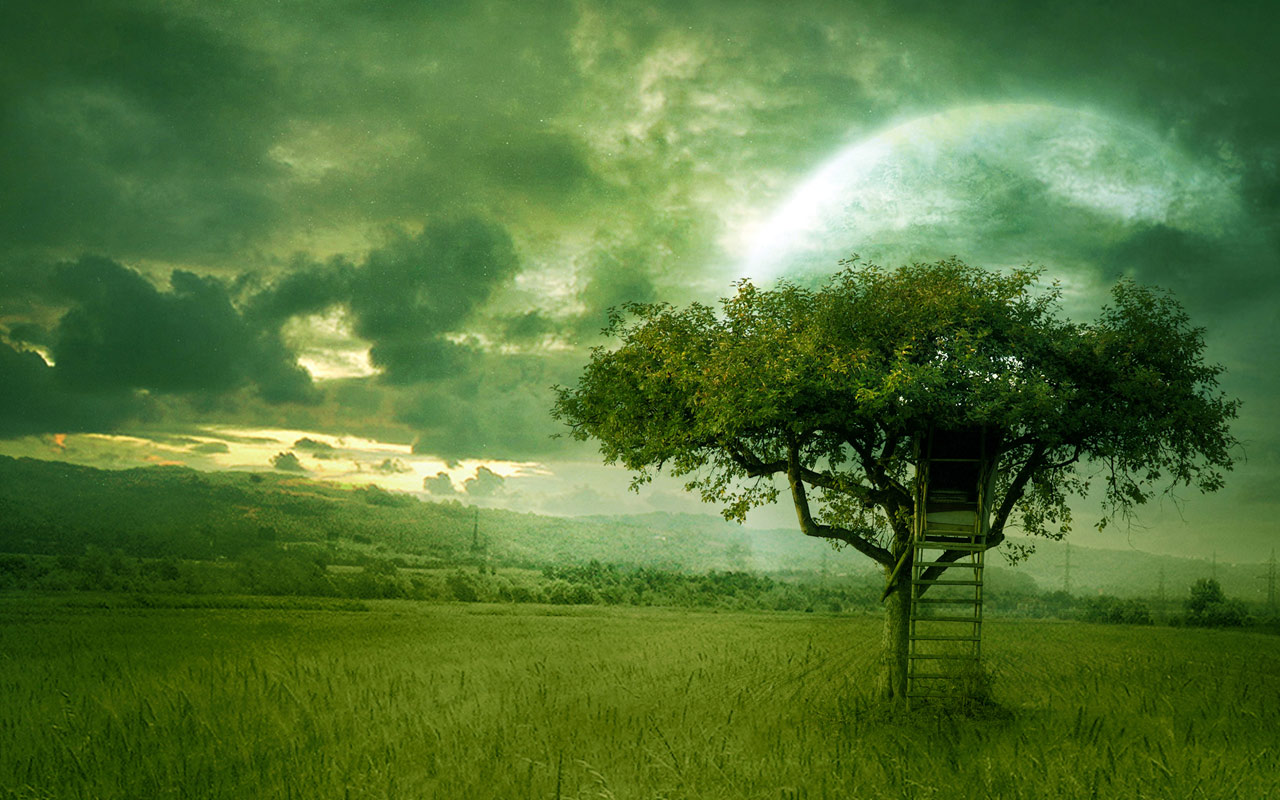 My Dream Is - Poem About Green Nature - HD Wallpaper 