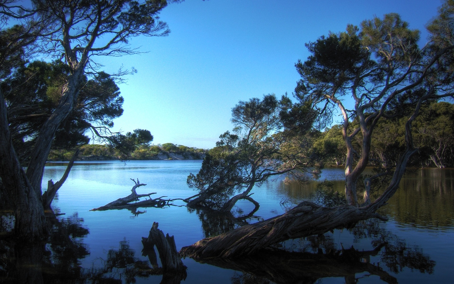 Sad Nature - HD Wallpaper 