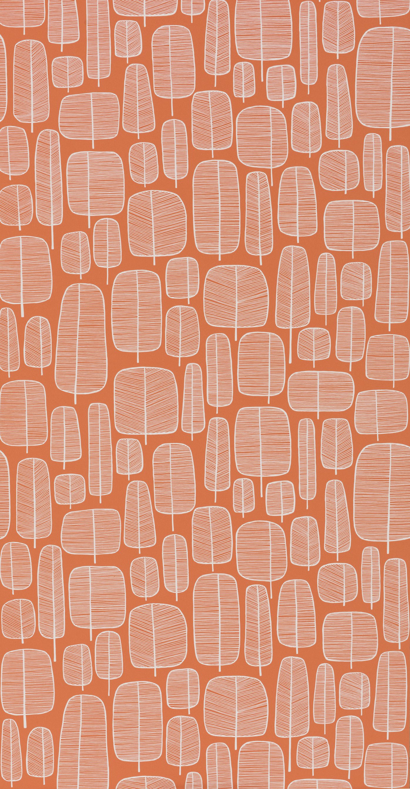 Orange Wall Paper - HD Wallpaper 