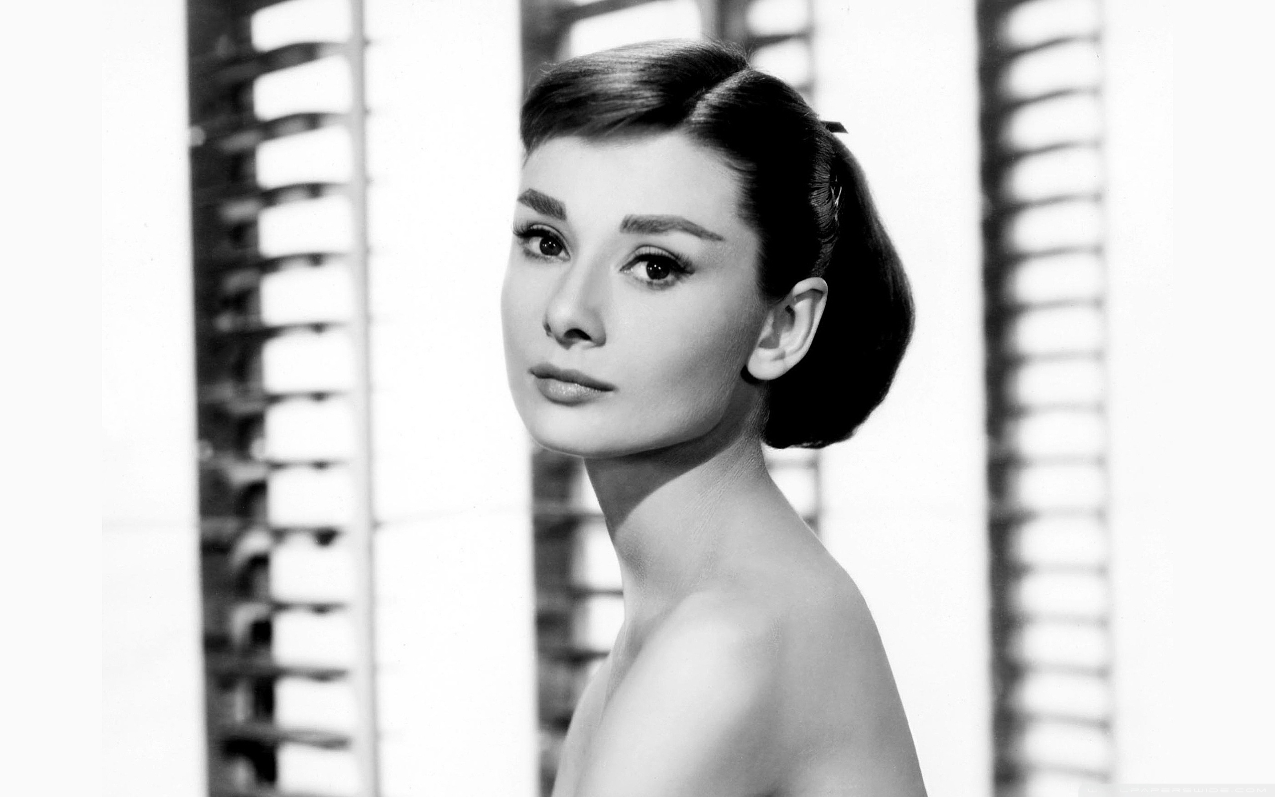 Audrey Hepburn - HD Wallpaper 