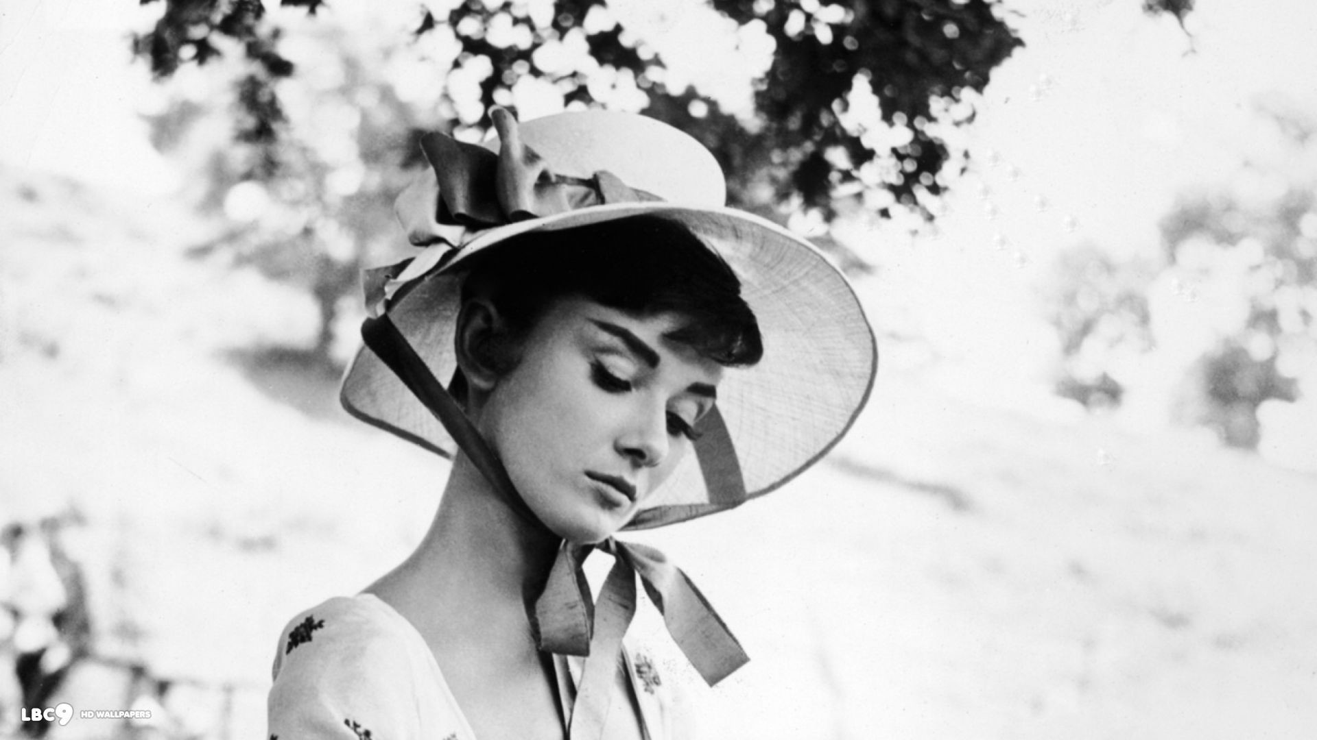 Wiki Audrey Hepburn Wallpapers Hd Pic Wpd008333 
 Data - Audrey Hepburn - HD Wallpaper 