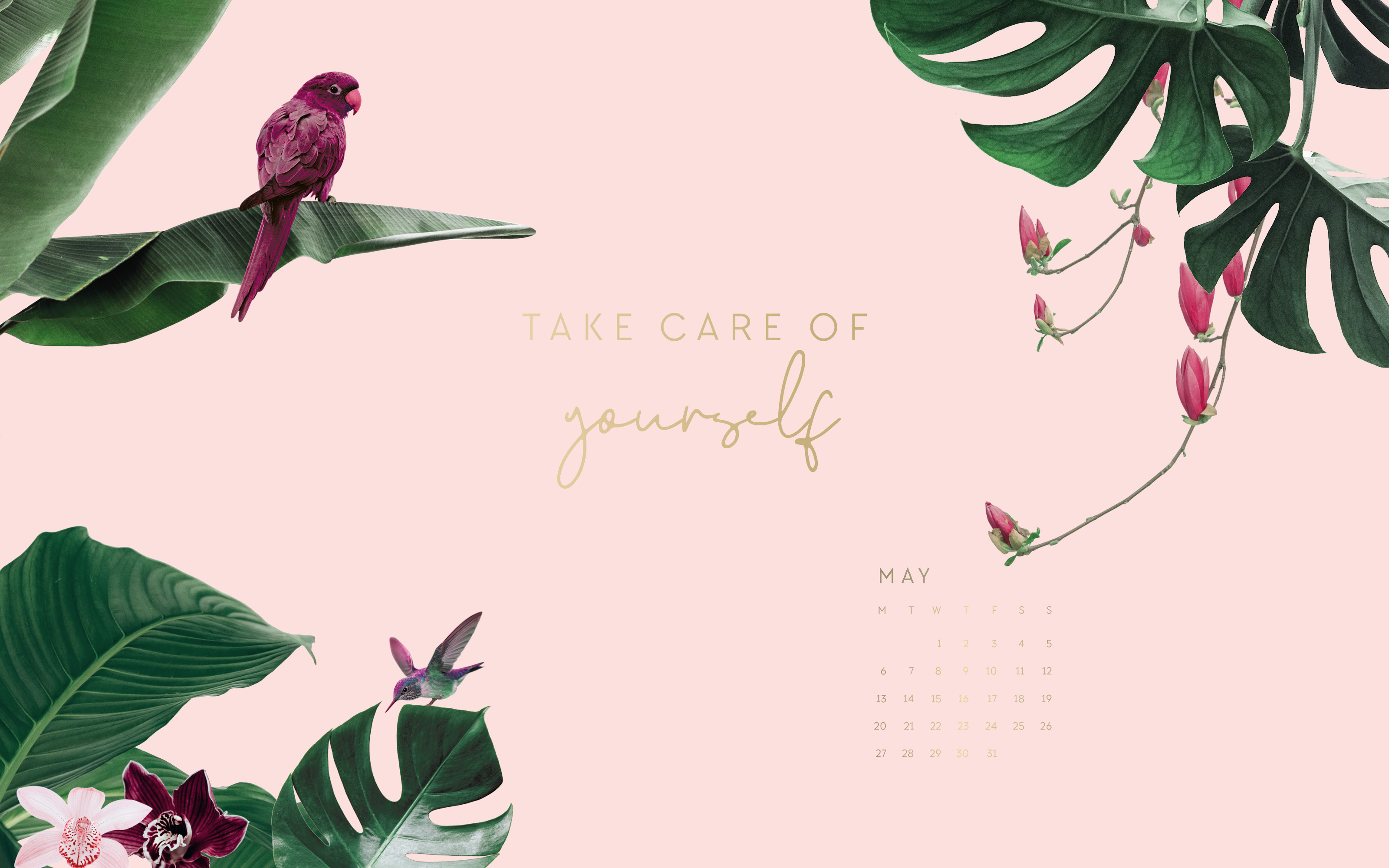 Wallpaper May Desktop - Desktop Wallpaper Mai 2019 - HD Wallpaper 