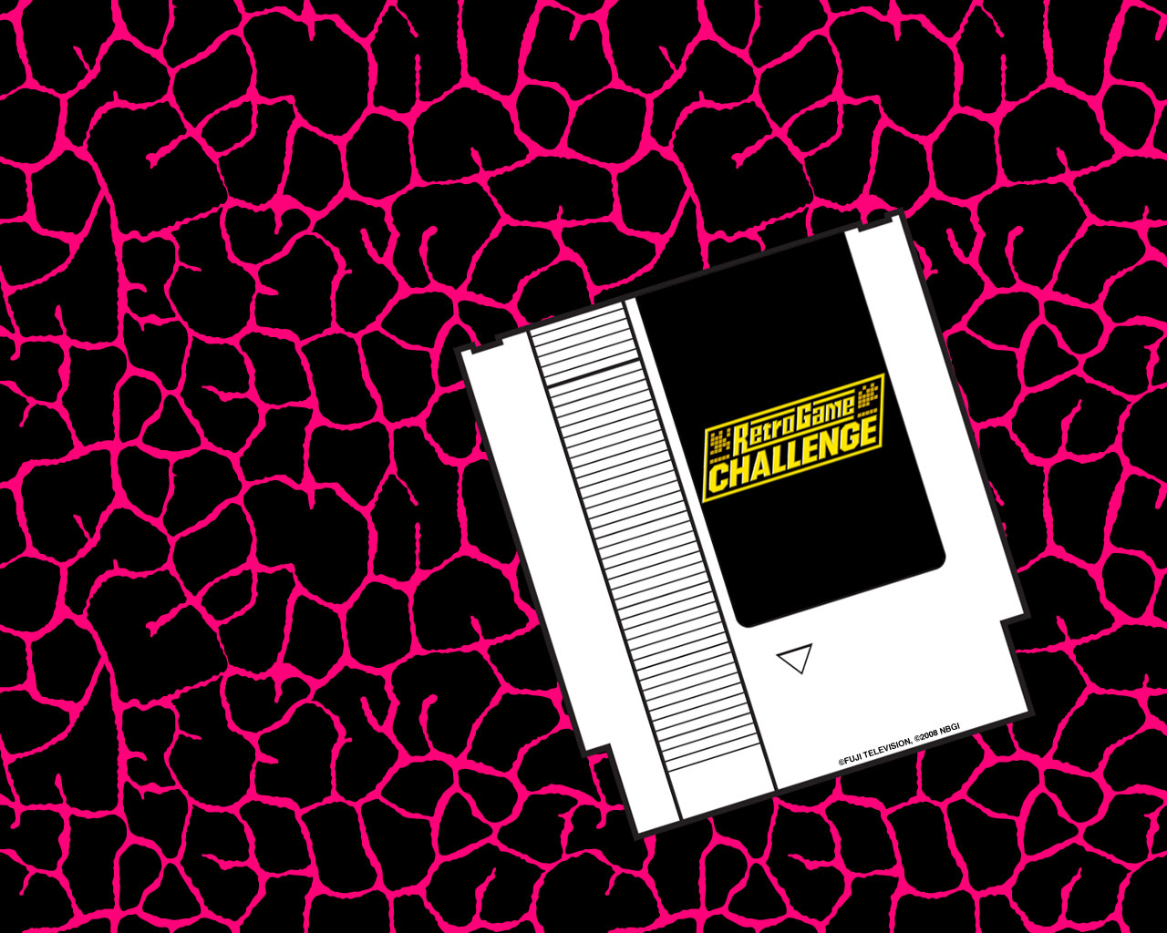 São Paulo Zoo - HD Wallpaper 