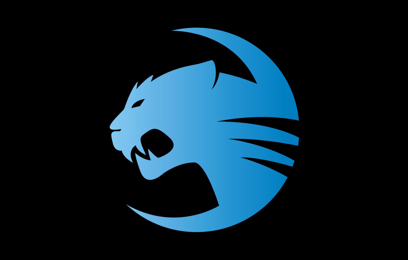 Photo Wallpaper Games, Wall, Germany, Wallpapers, Game, - Roccat Gaming - HD Wallpaper 