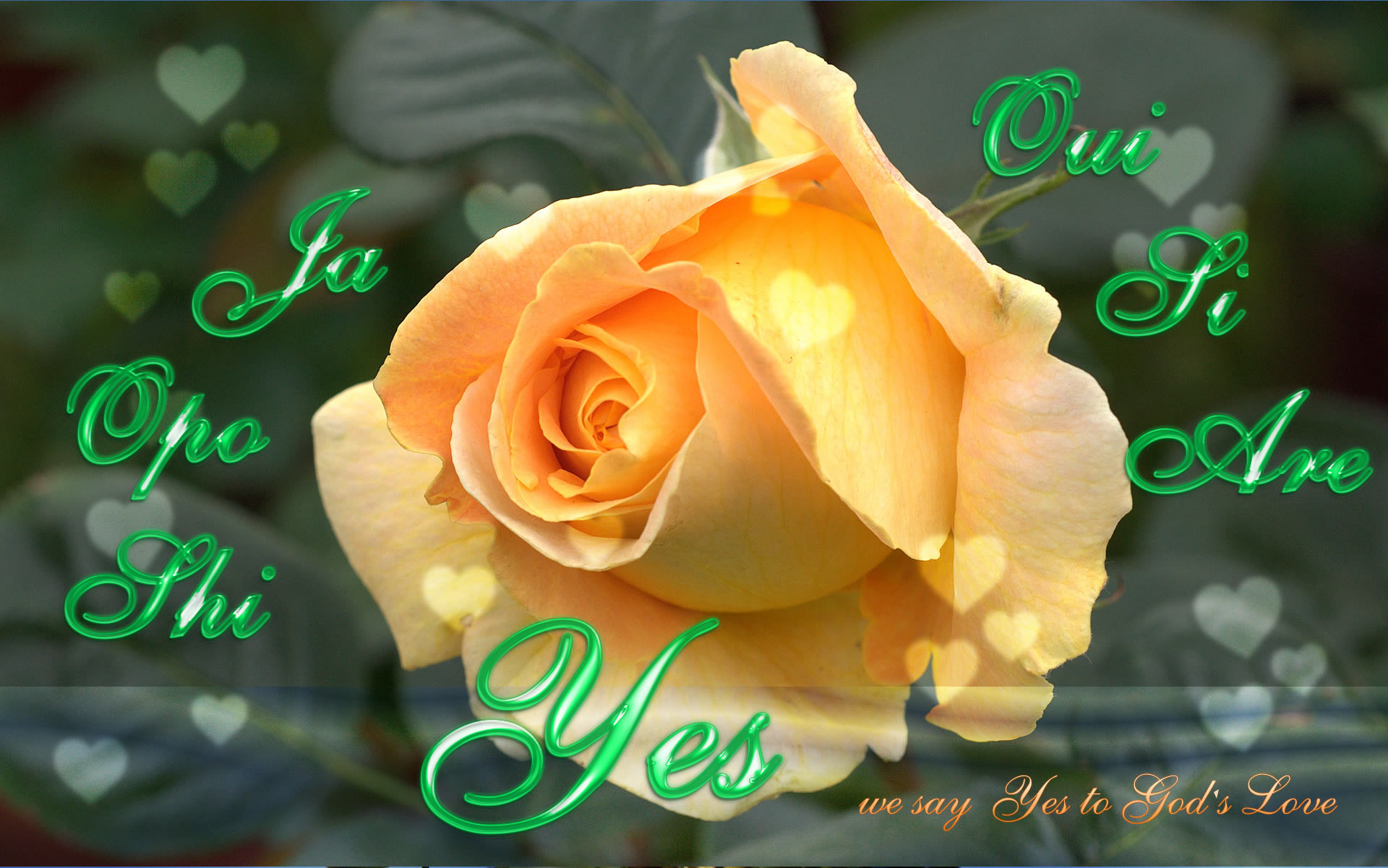 Yes Wallpaper - All Gods Full Hd Image Download - HD Wallpaper 