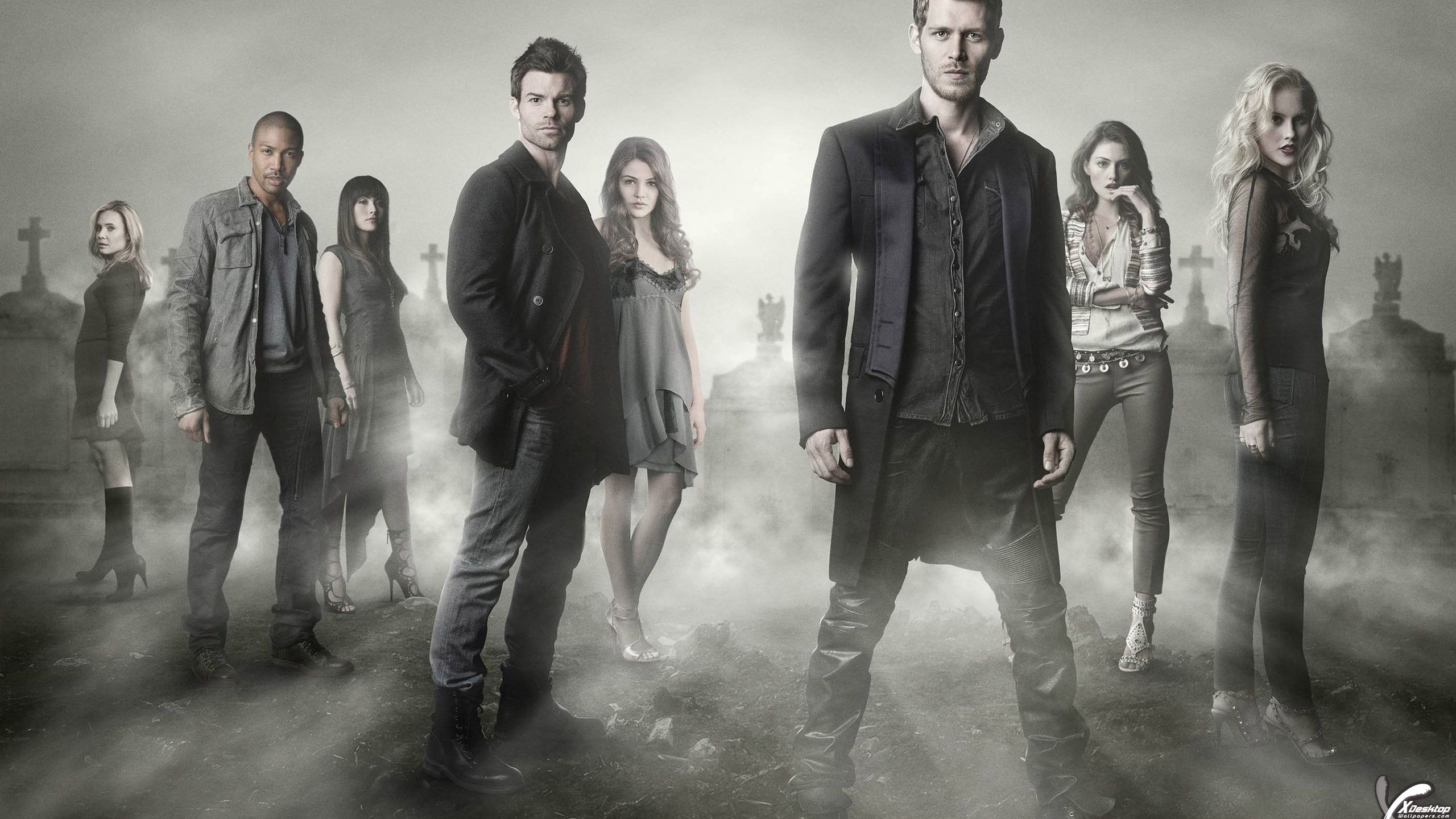 You Are Viewing Wallpaper Titled All Characters Of - All The Characters In The Originals - HD Wallpaper 