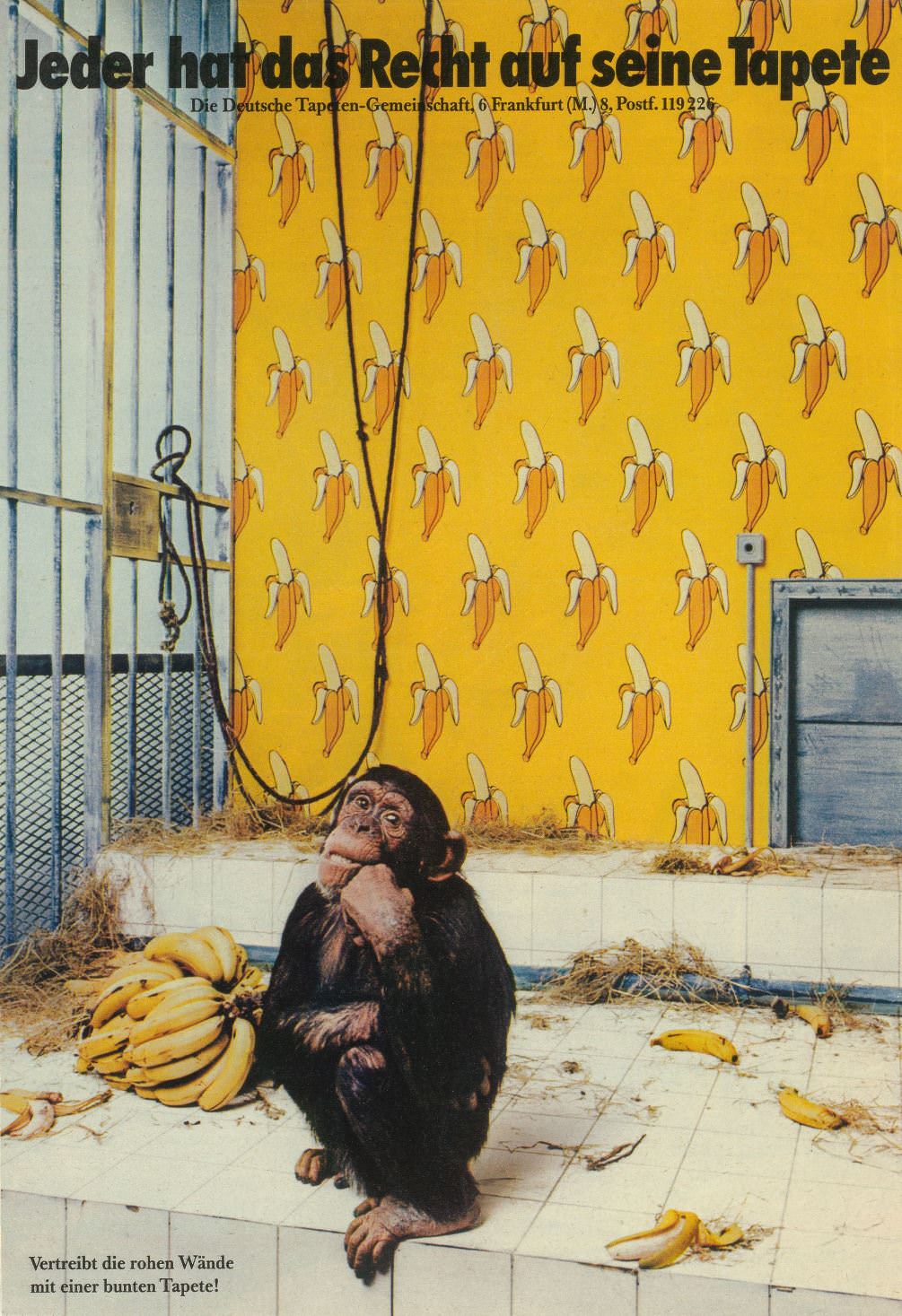 Jeder Hat Das Recht Auf Tapete - HD Wallpaper 