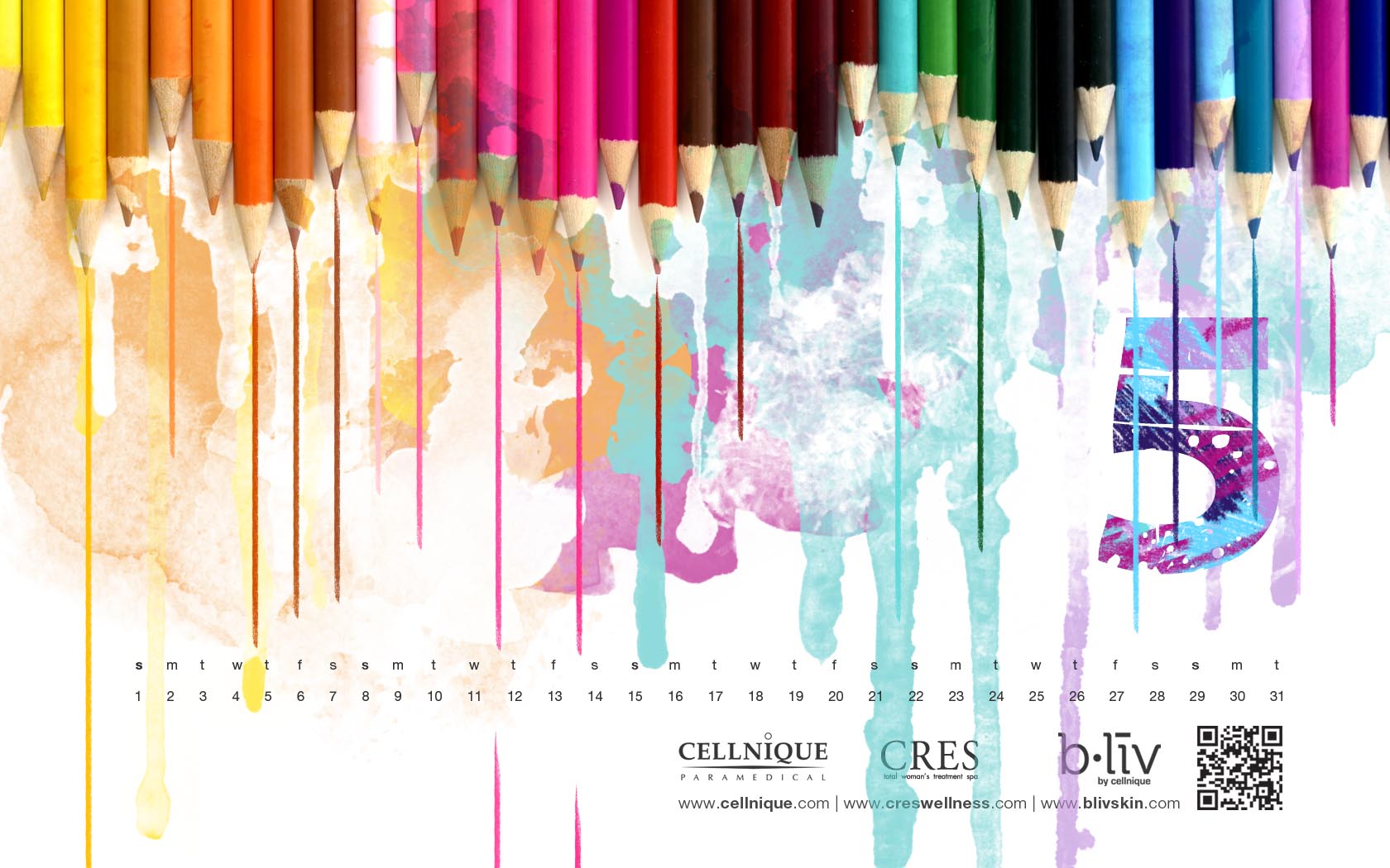 Wallpaper - HD Wallpaper 
